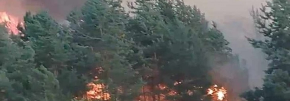 Пожар обхвана южните склонове на Витоша над село Чуйпетльово